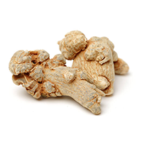 Panax Notoginseng (Whole plant) Extract